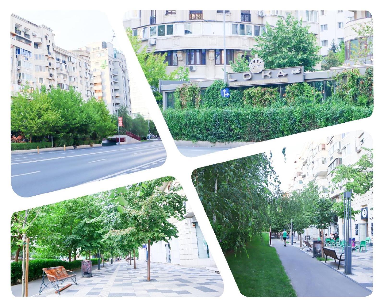 Central Apartament Bulevardul Decebal 부쿠레슈티 외부 사진